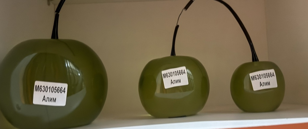 Souviner-Алим ногоон шилэн