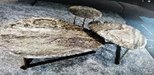 [BRC21011C SMALL] COFFEE TABLE