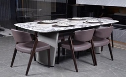 [HZ270] DINING TABLE