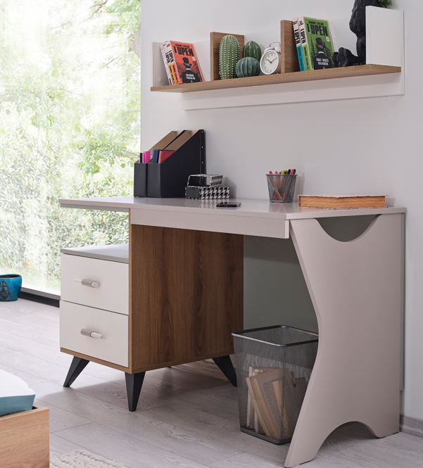 WORKING DESK