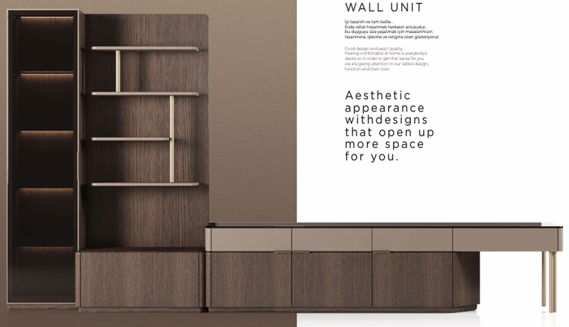 TV UNIT