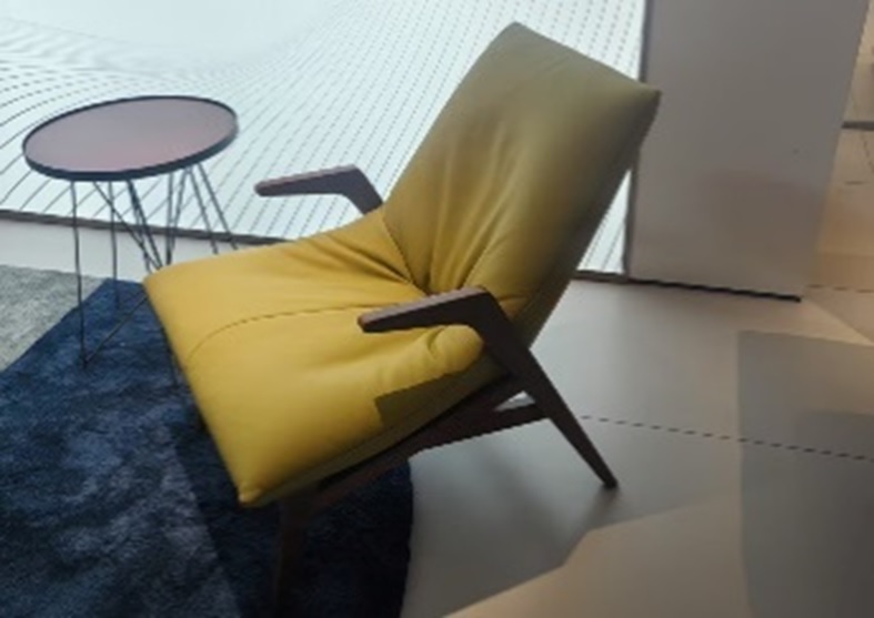 LEISURE CHAIR