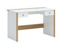 WORKING DESK