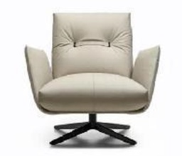 [BRF42301] LEISURE CHAIR