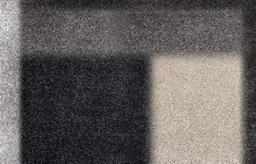 [DT-ALL-256] BAM CARPET