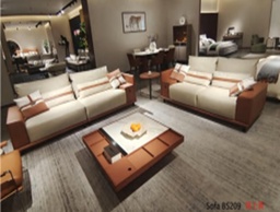 [BS209 SOFA] SOFA 2+3 SEAT