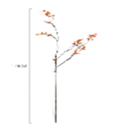 [GYP-KSWW-51 FLOWER] BAM SOUVENIR