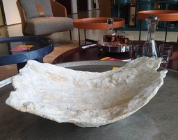 [GYP-XR-177 PLATE] BAM SOUVENIR