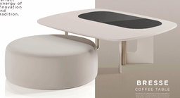[BRESSE COFFEE TABLE] COFFEE TABLE