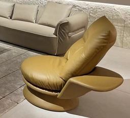 [BS123] LEISURE CHAIR
