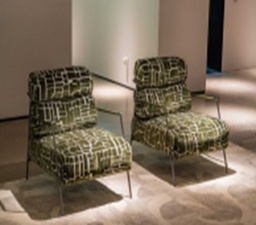 [DY-2259C] LEISURE CHAIR